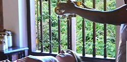 best ayurvedic resort award